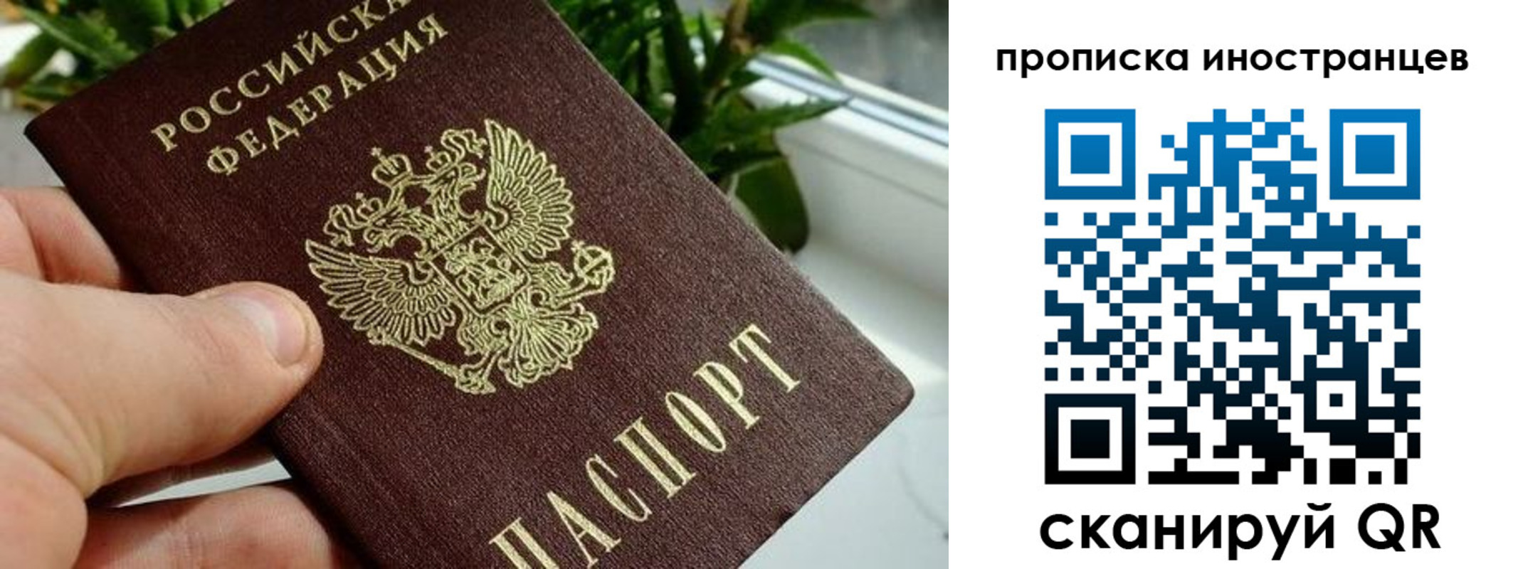 временная регистрация в Красногорске